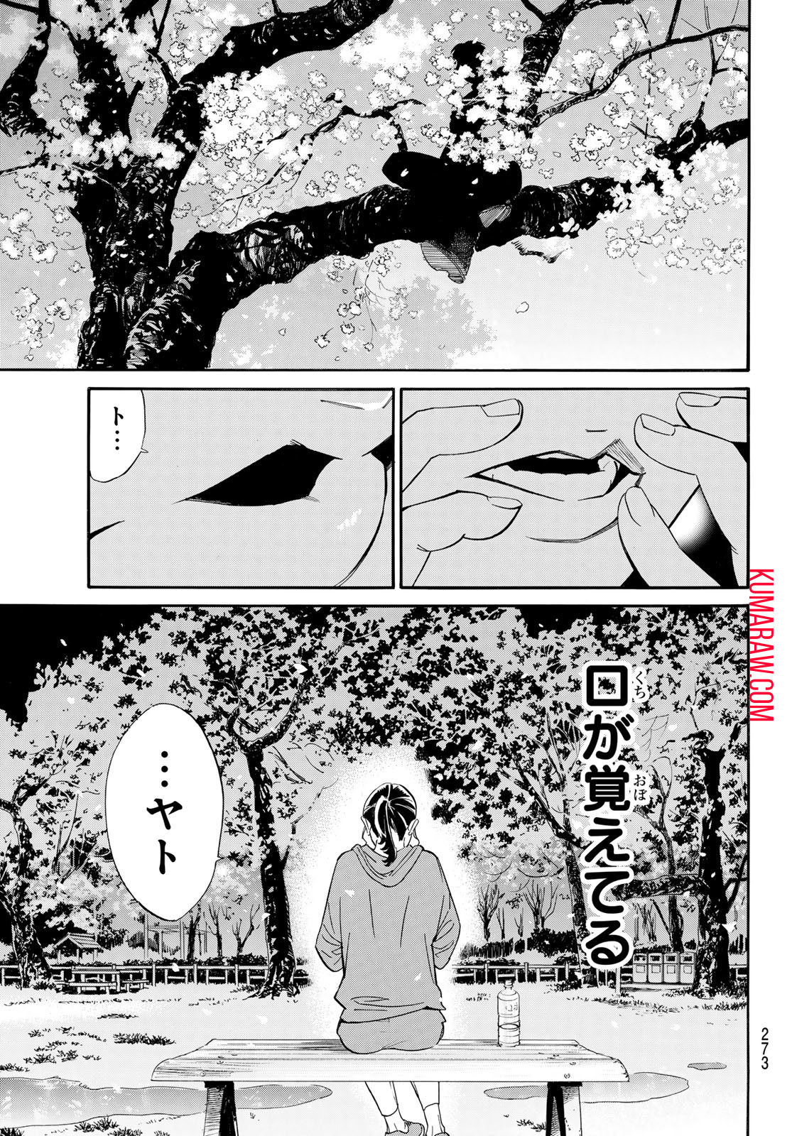 ノラガミ 第109話 - Page 41