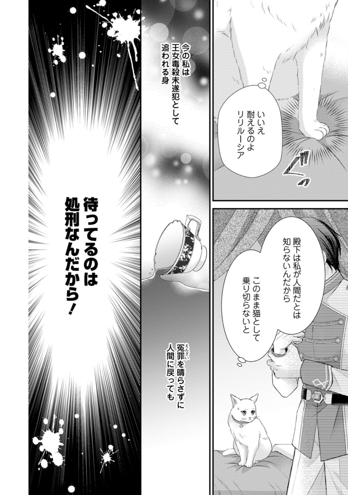 呪いで猫にされた悪女、王太子に拾われる。 第1話 - Page 5