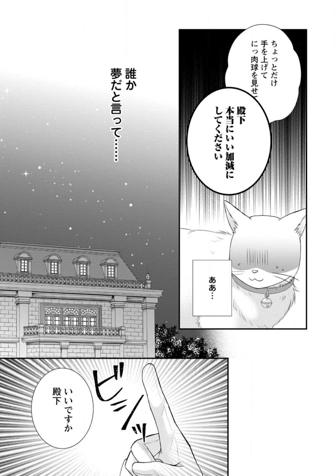 呪いで猫にされた悪女、王太子に拾われる。 第3.2話 - Page 4