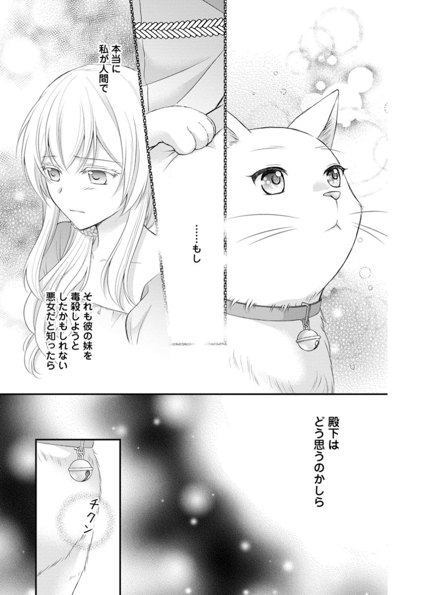 呪いで猫にされた悪女、王太子に拾われる。 第4.3話 - Page 7