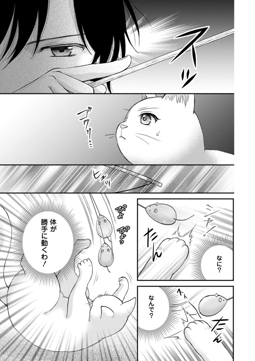 呪いで猫にされた悪女、王太子に拾われる。 第5.1話 - Page 2