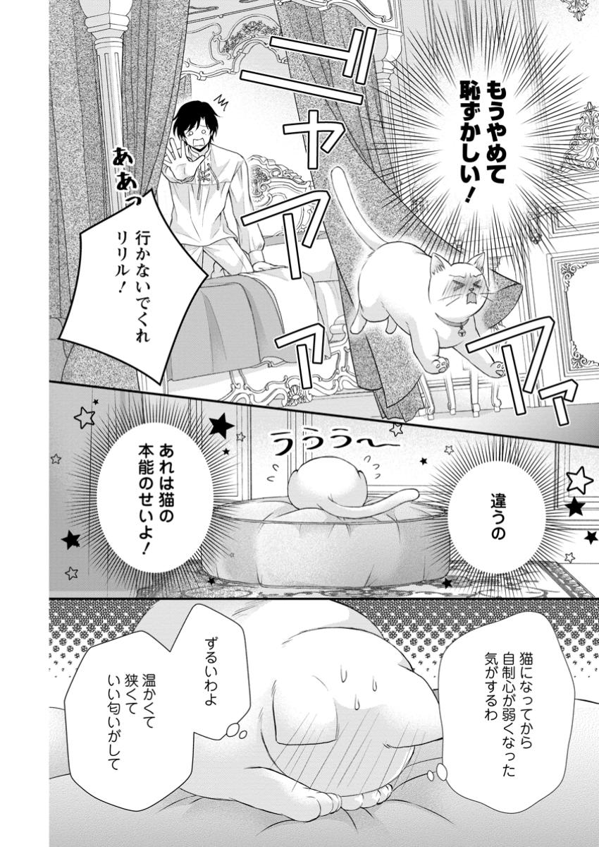 呪いで猫にされた悪女、王太子に拾われる。 第5.3話 - Page 7