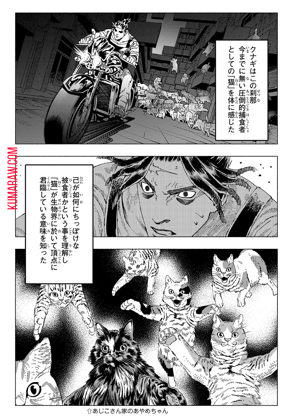 ニャイト・オブ・ザ・リビングキャット 第6.1話 - Page 16