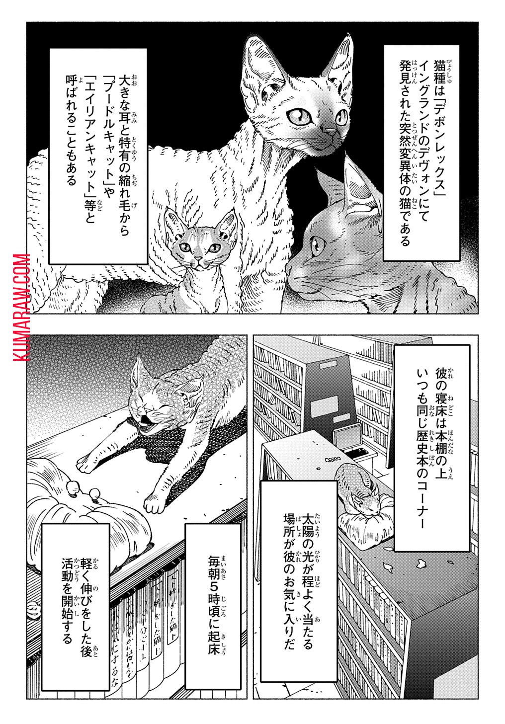 ニャイト・オブ・ザ・リビングキャット 第9.1話 - Page 2