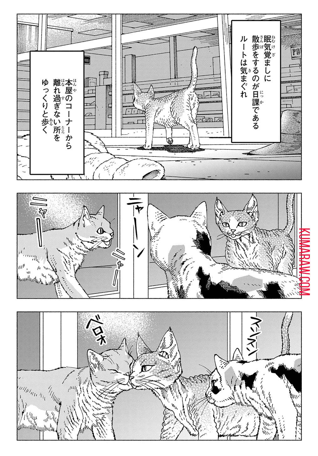 ニャイト・オブ・ザ・リビングキャット 第9.1話 - Page 3