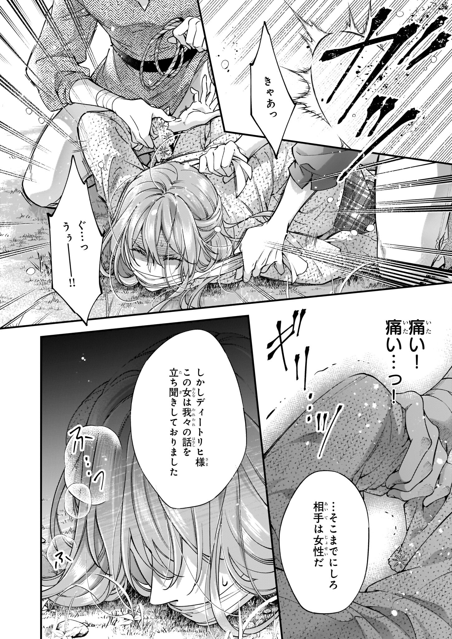 落ちぶれ才女の幸福陛下に棄てられたので、最愛の人を救いにいきます 第6話 - Page 24