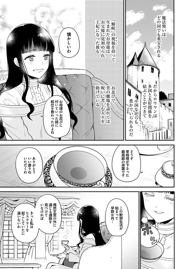 お飾り王妃になったので、こっそり働きに出ることにしました お飾り王妃になったので、こっそり働きに出ることにしました ～うさぎがいるので独り寝も寂しくありません！ 第1話 - Page 25