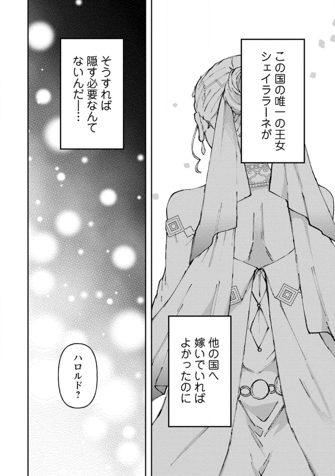 怒った聖女は一人で魔王を倒したい怒った聖女は一人で魔王を倒したい 第6.3話 - Page 3