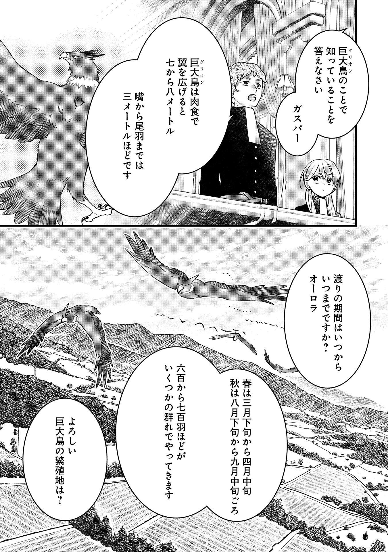 王空騎士団と救国の少女～空を飛ぶ少女アイリスの物語～ 第3話 - Page 15