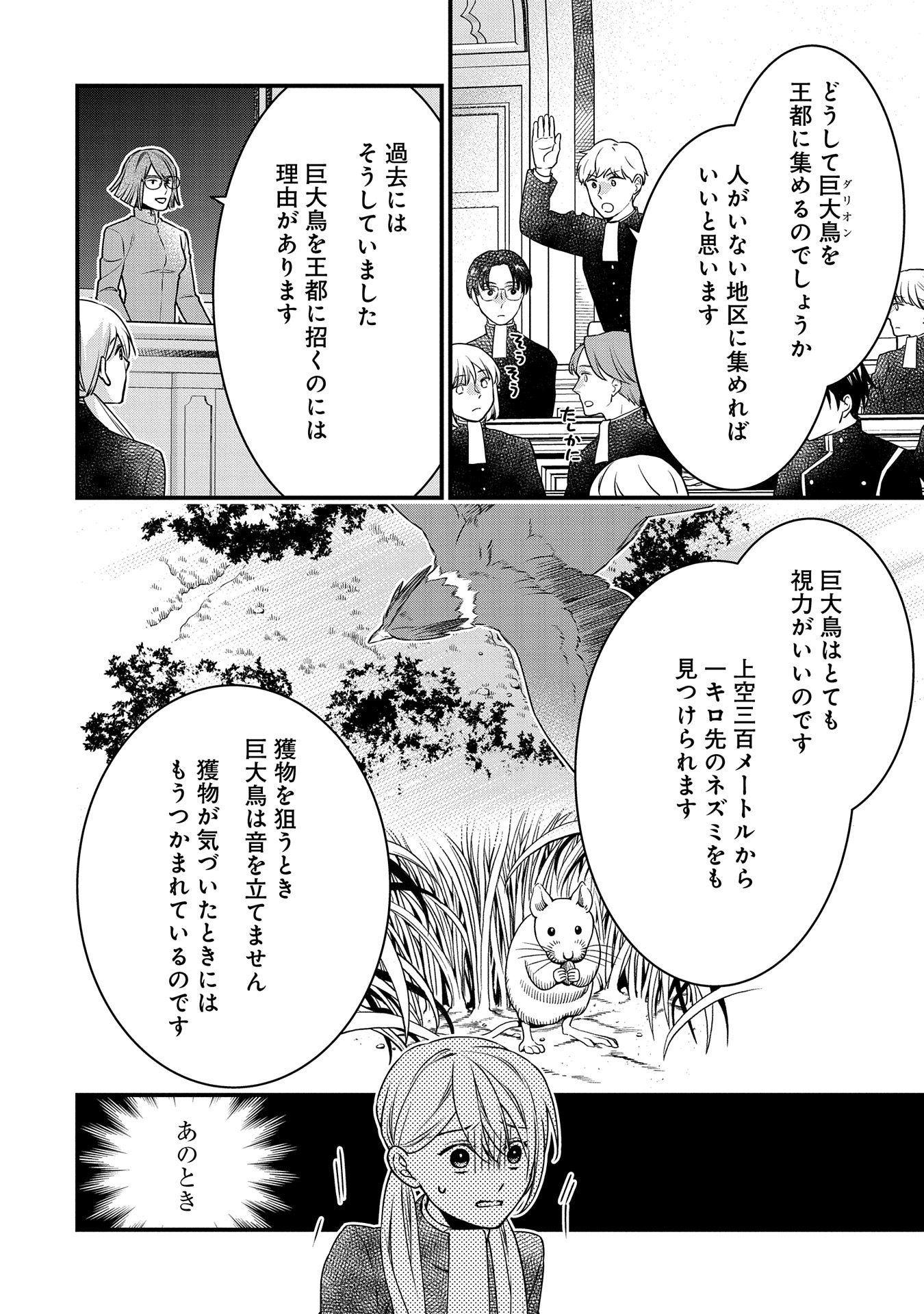 王空騎士団と救国の少女～空を飛ぶ少女アイリスの物語～ 第3話 - Page 18