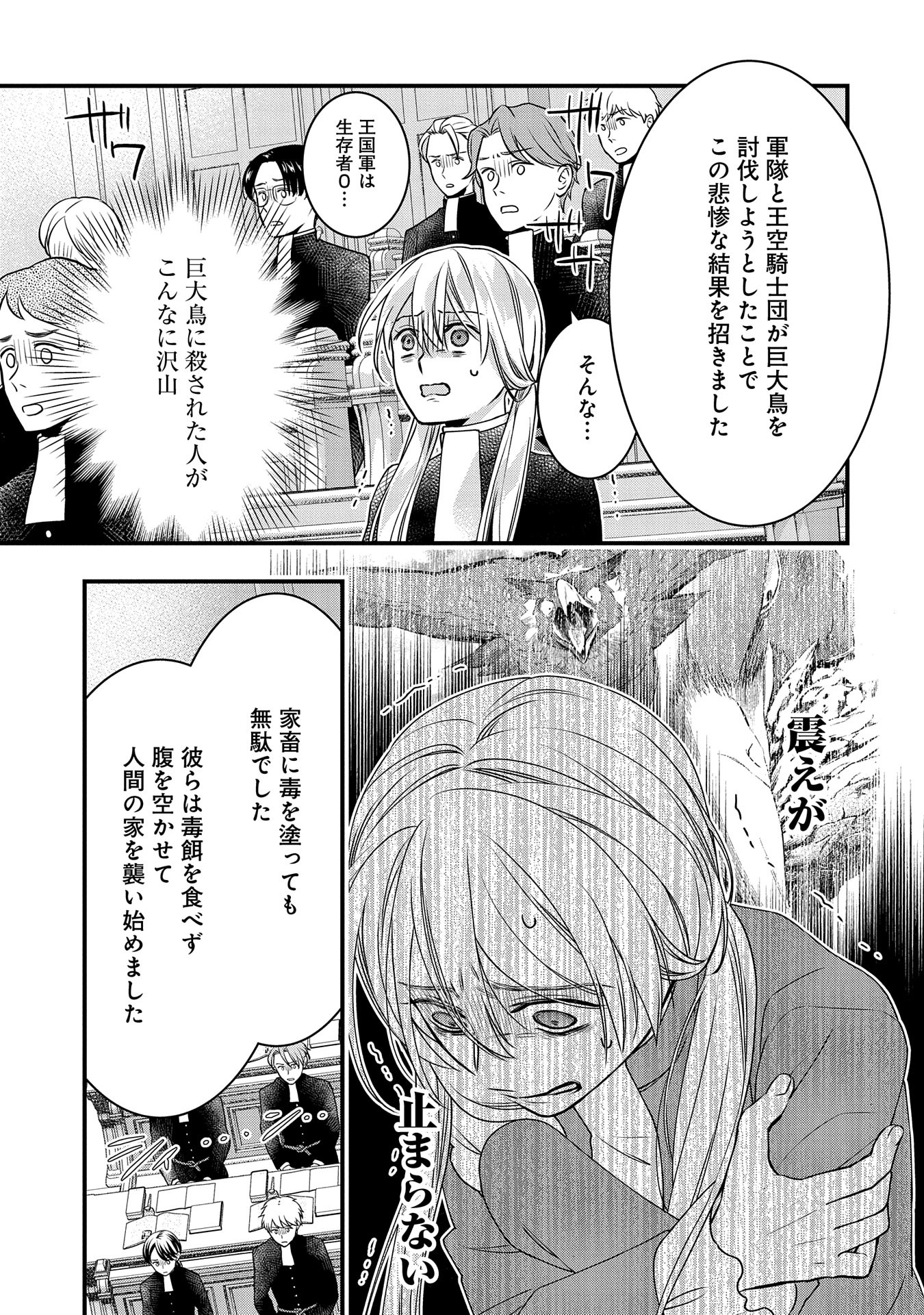 王空騎士団と救国の少女～空を飛ぶ少女アイリスの物語～ 第3話 - Page 23