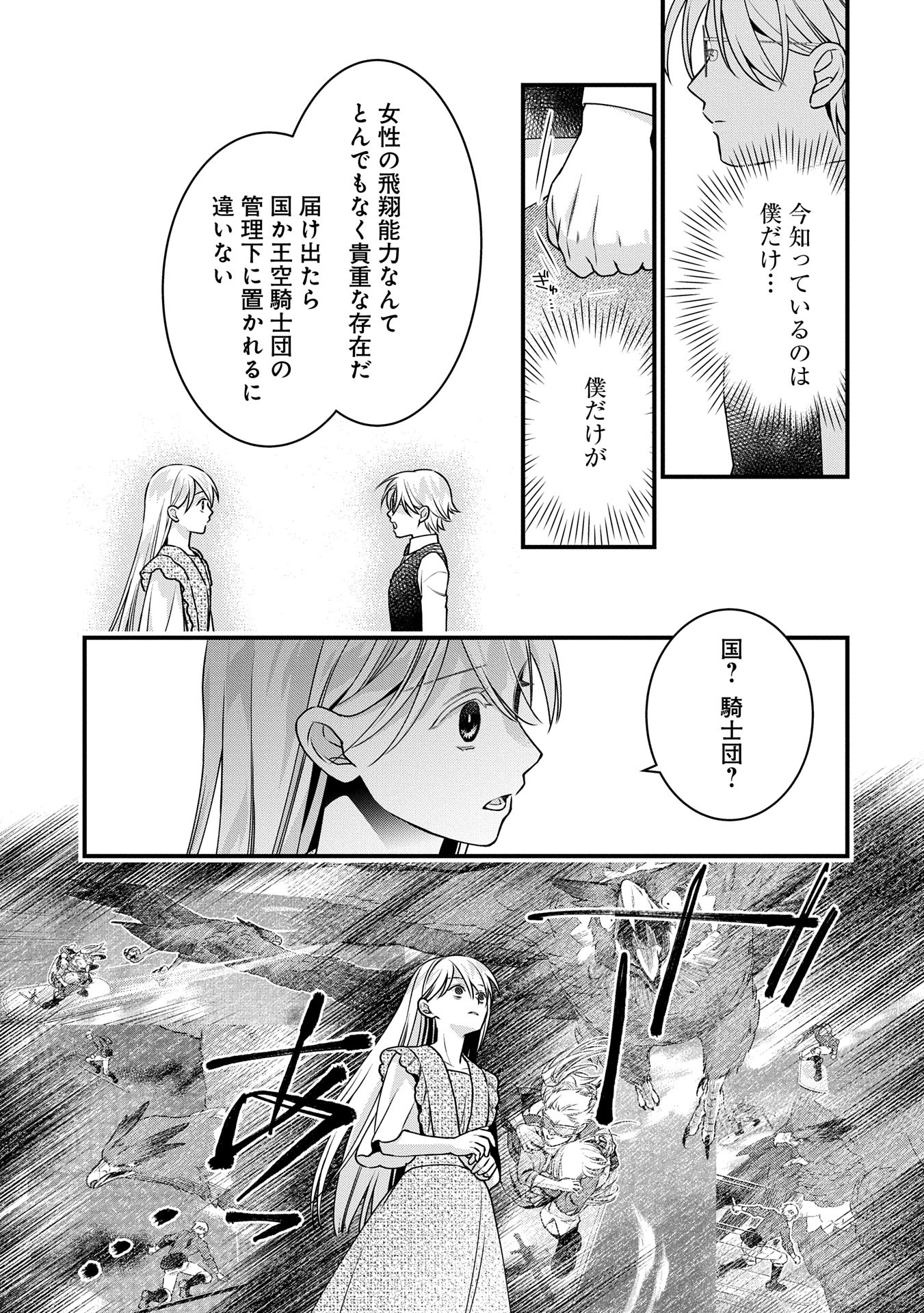 王空騎士団と救国の少女～空を飛ぶ少女アイリスの物語～ 第5話 - Page 8