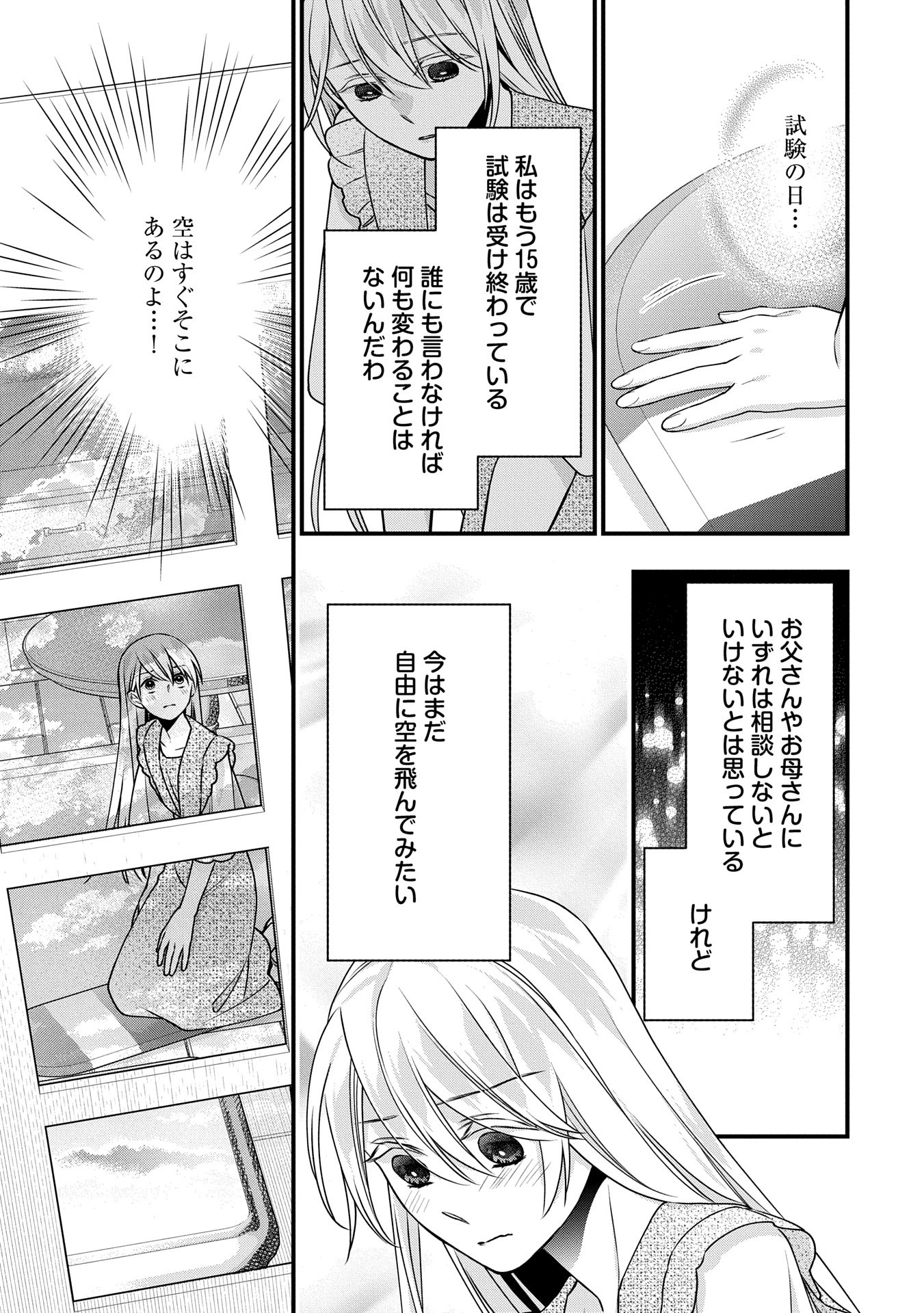 王空騎士団と救国の少女～空を飛ぶ少女アイリスの物語～ 第5話 - Page 15