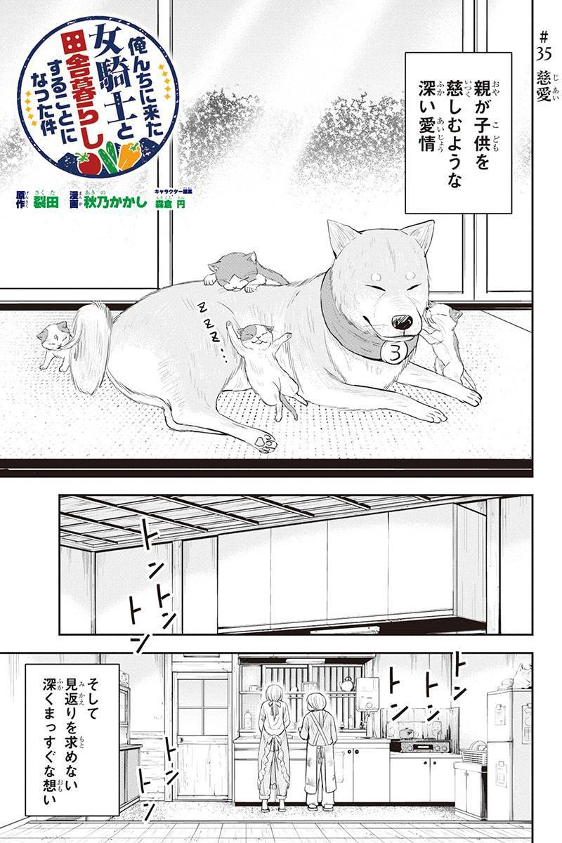 俺んちに来た女騎士と田舎暮らしすることになった件 第35話 - Page 1