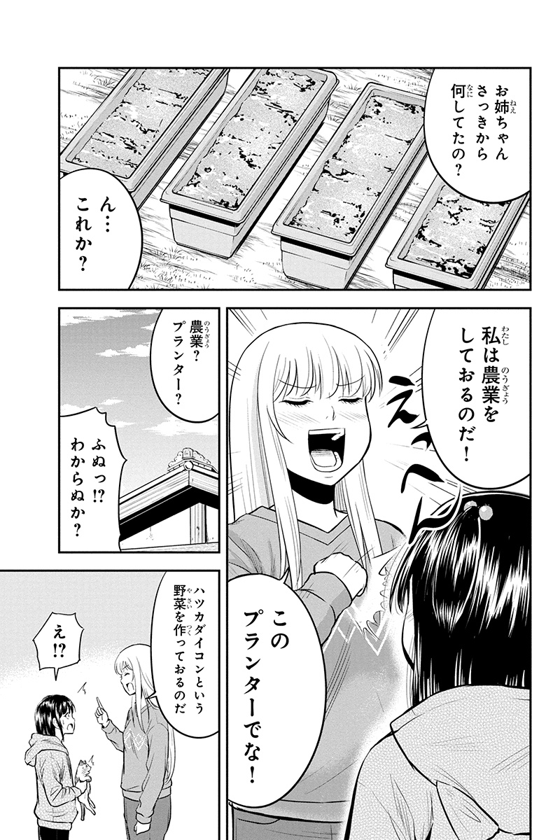 俺んちに来た女騎士と田舎暮らしすることになった件 第41話 - Page 17