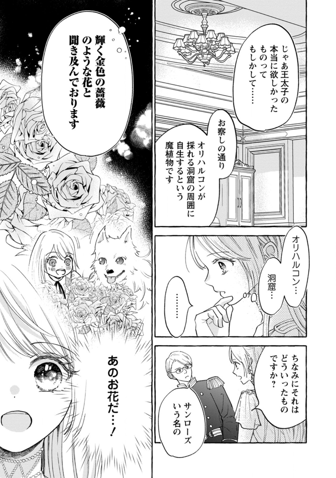 お試しで喚ばれた聖女なのに最強竜に気に入られてしまいました。 第10.2話 - Page 8