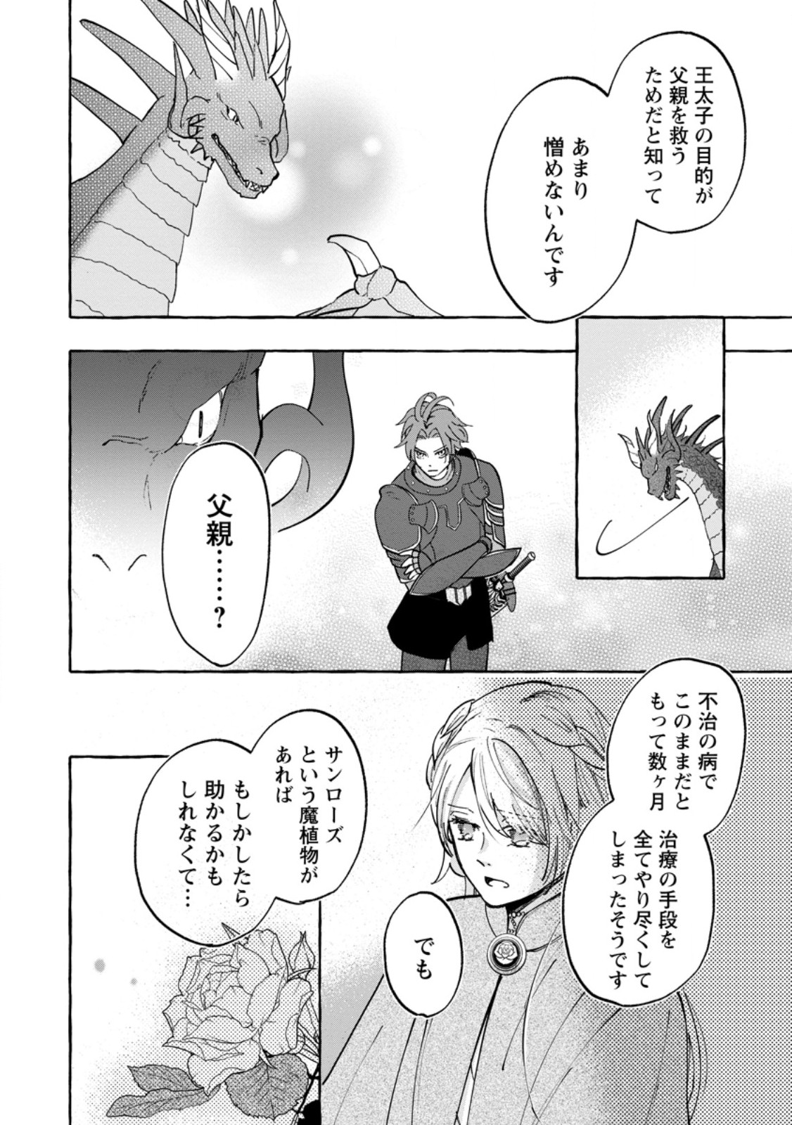 お試しで喚ばれた聖女なのに最強竜に気に入られてしまいました。 第11.3話 - Page 5