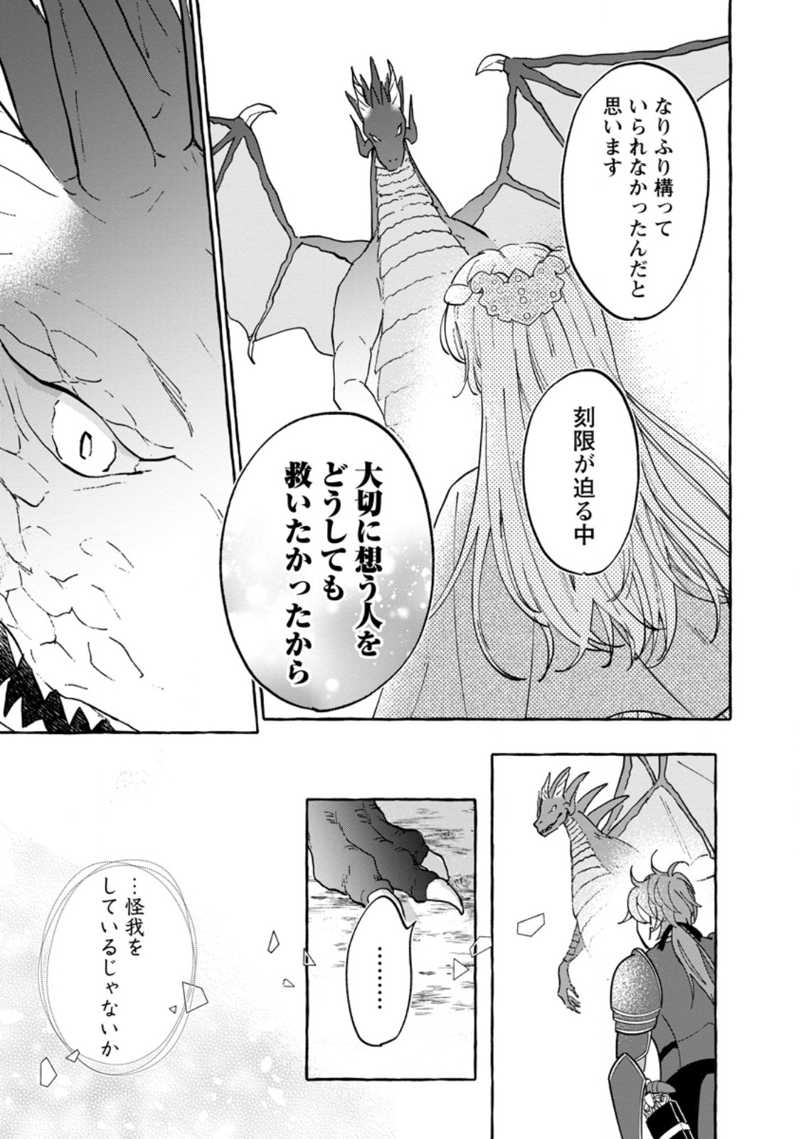 お試しで喚ばれた聖女なのに最強竜に気に入られてしまいました。 第11.3話 - Page 5