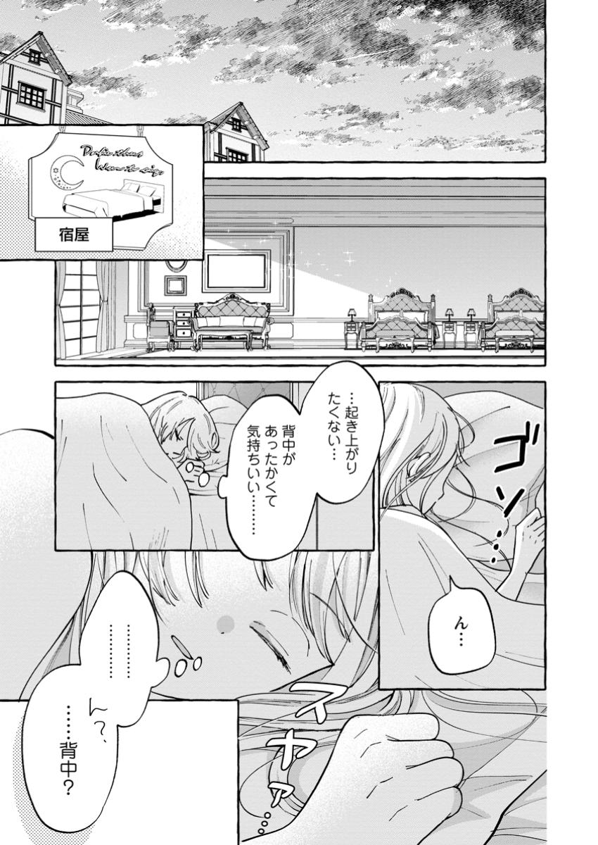 お試しで喚ばれた聖女なのに最強竜に気に入られてしまいました。 第13.1話 - Page 2