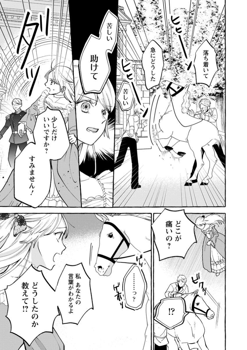 お試しで喚ばれた聖女なのに最強竜に気に入られてしまいました。 第13.2話 - Page 4