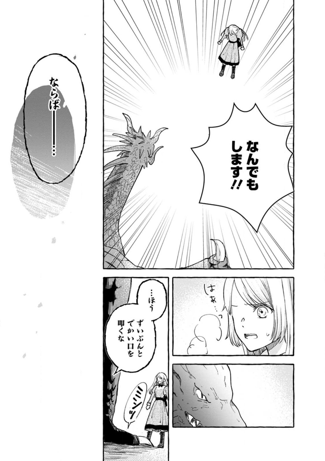 お試しで喚ばれた聖女なのに最強竜に気に入られてしまいました。 第2.2話 - Page 4