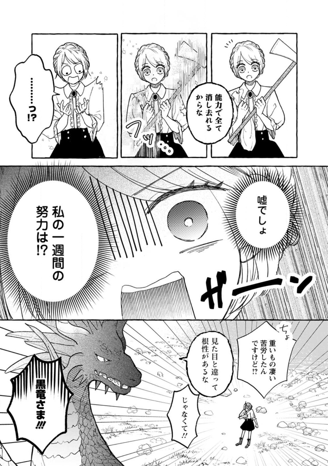 お試しで喚ばれた聖女なのに最強竜に気に入られてしまいました。 第2.3話 - Page 10