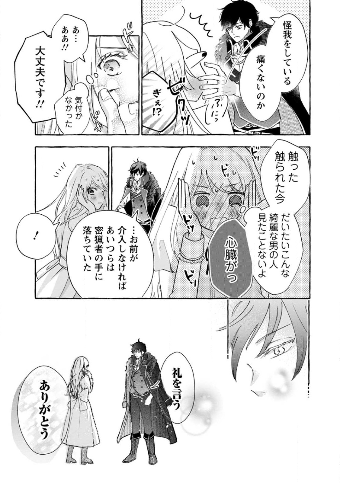 お試しで喚ばれた聖女なのに最強竜に気に入られてしまいました。 第3.3話 - Page 6