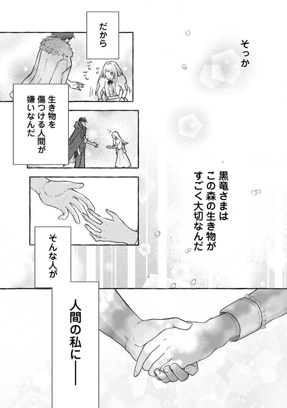 お試しで喚ばれた聖女なのに最強竜に気に入られてしまいました。 第3.3話 - Page 8