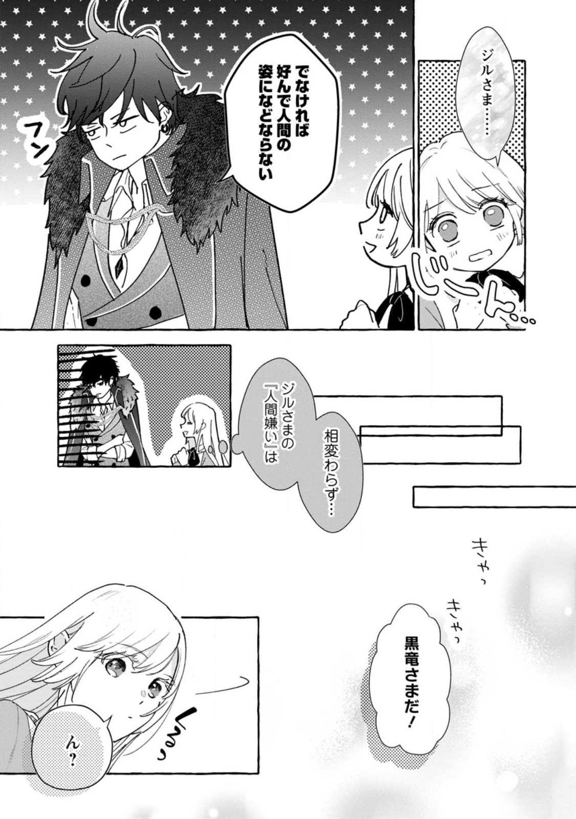 お試しで喚ばれた聖女なのに最強竜に気に入られてしまいました。 第4.2話 - Page 3