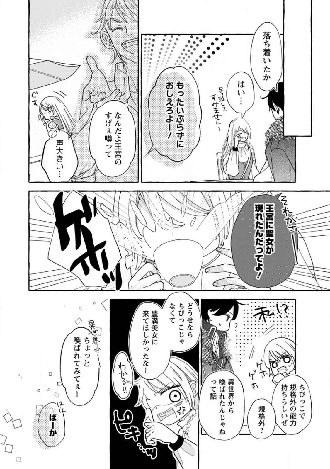 お試しで喚ばれた聖女なのに最強竜に気に入られてしまいました。 第6.3話 - Page 9