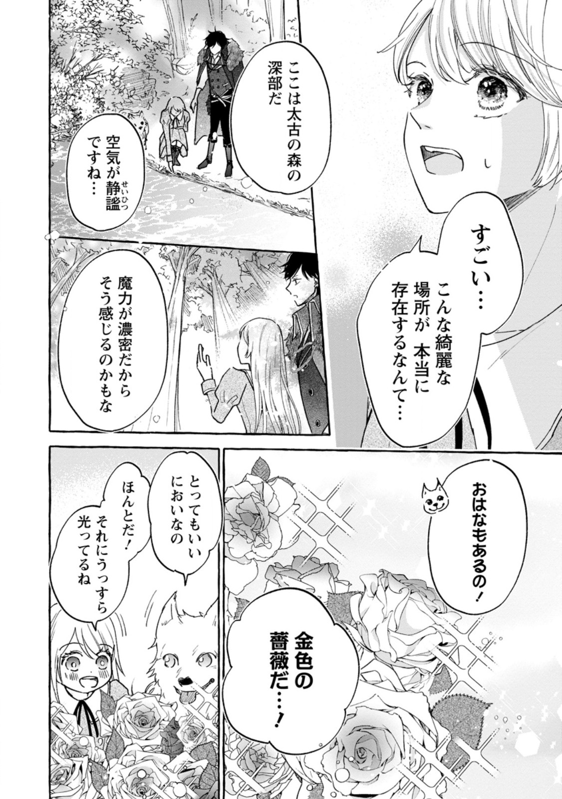 お試しで喚ばれた聖女なのに最強竜に気に入られてしまいました。 第9.1話 - Page 7