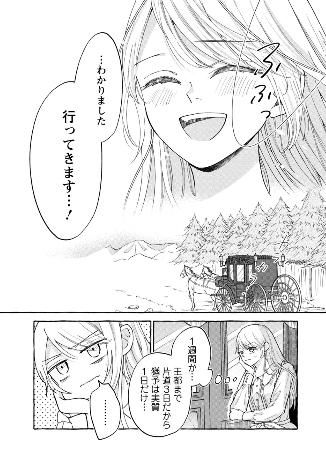 お試しで喚ばれた聖女なのに最強竜に気に入られてしまいました。 第9.3話 - Page 8