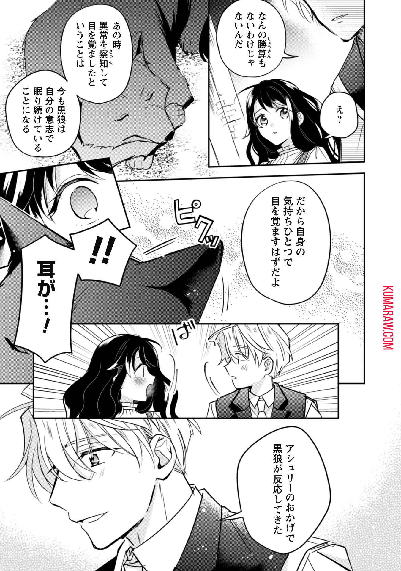 王弟殿下のお気に入り転生しても天敵から逃げられないようです!? 第10話 - Page 17