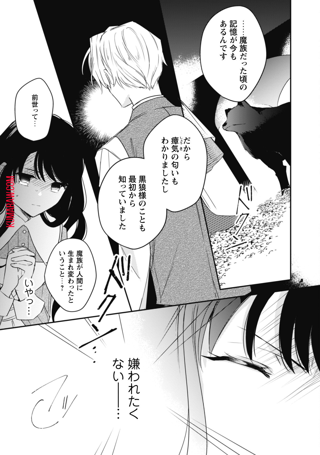 王弟殿下のお気に入り転生しても天敵から逃げられないようです!? 第13話 - Page 6