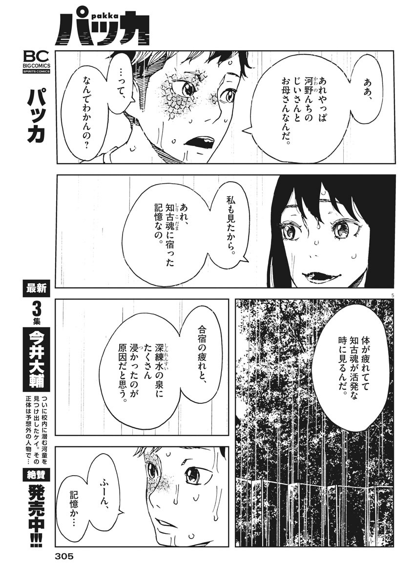 パッカ 第34話 - Page 5