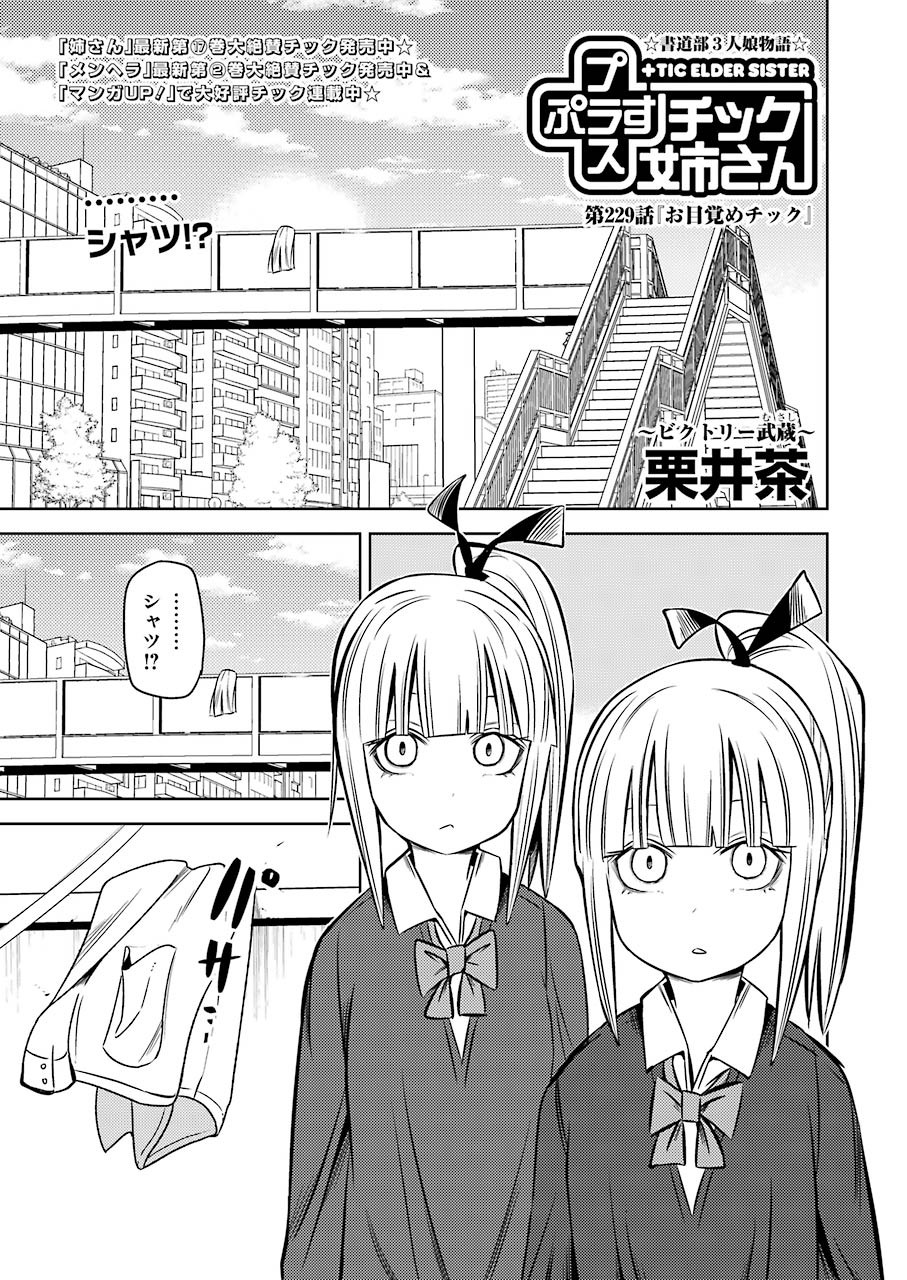 プラスチック姉さん 第229話 - Page 1