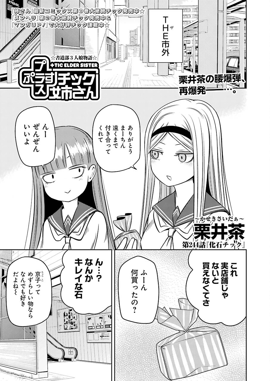 プラスチック姉さん 第244話 - Page 1