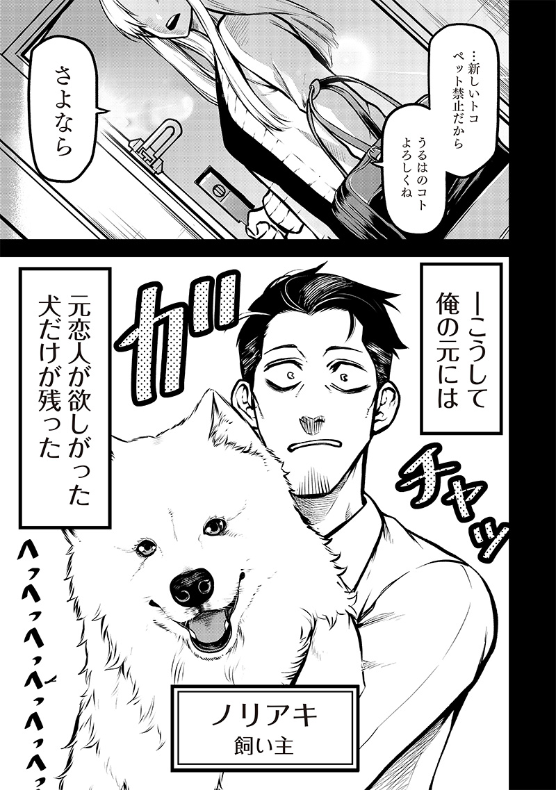 ポン太がヒトになりまして。犬がヒトになる話 My Dog Becomes a Human 第8話 - Page 3