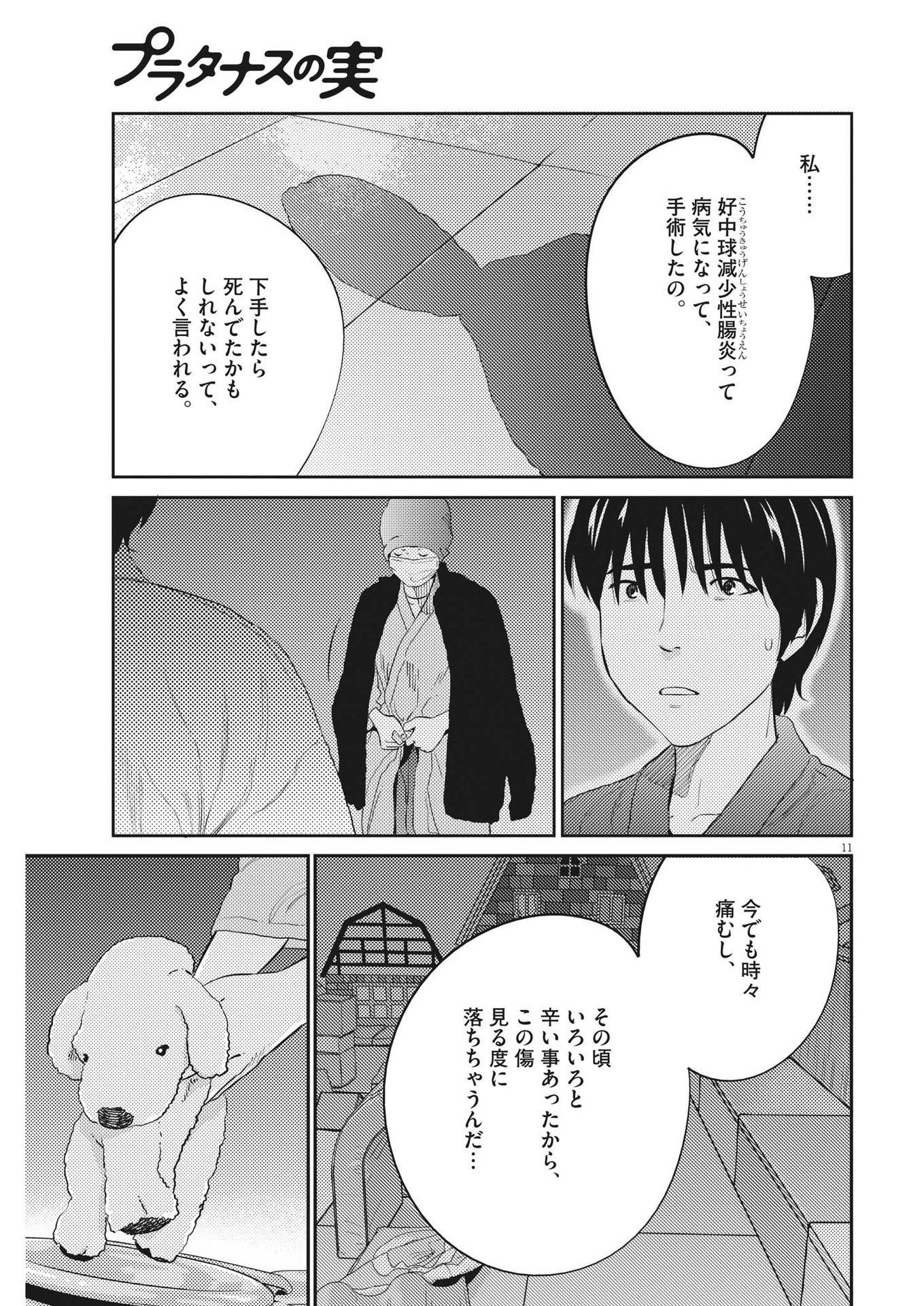 プラタナスの実−小児科医療チャンネル−;Planetreefruit-Pediatricmedicalchannel- 第79話 - Page 11