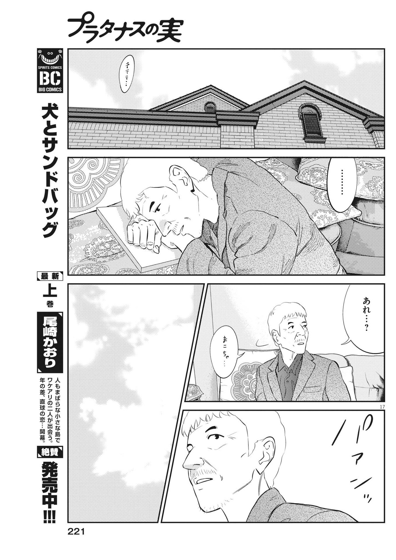 プラタナスの実−小児科医療チャンネル−;Planetreefruit-Pediatricmedicalchannel- 第87話 - Page 17