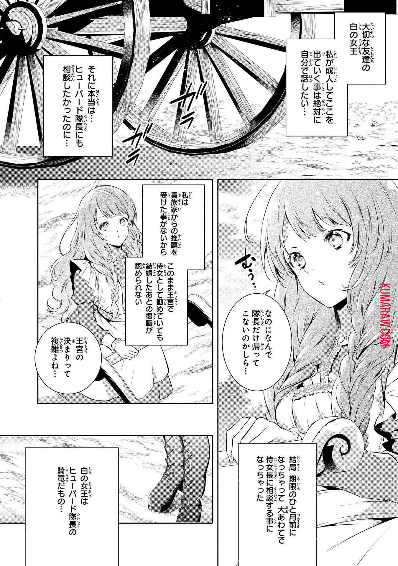 竜騎士のお気に入り 第1話 - Page 19