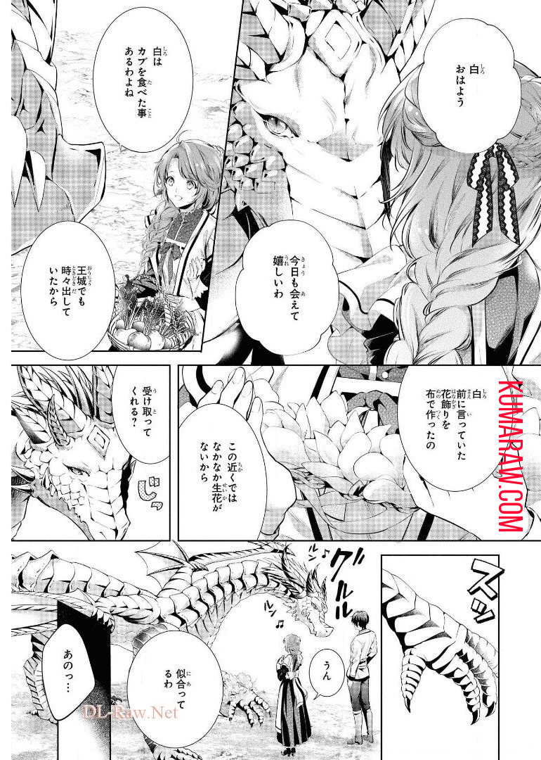 竜騎士のお気に入り 第19話 - Page 11