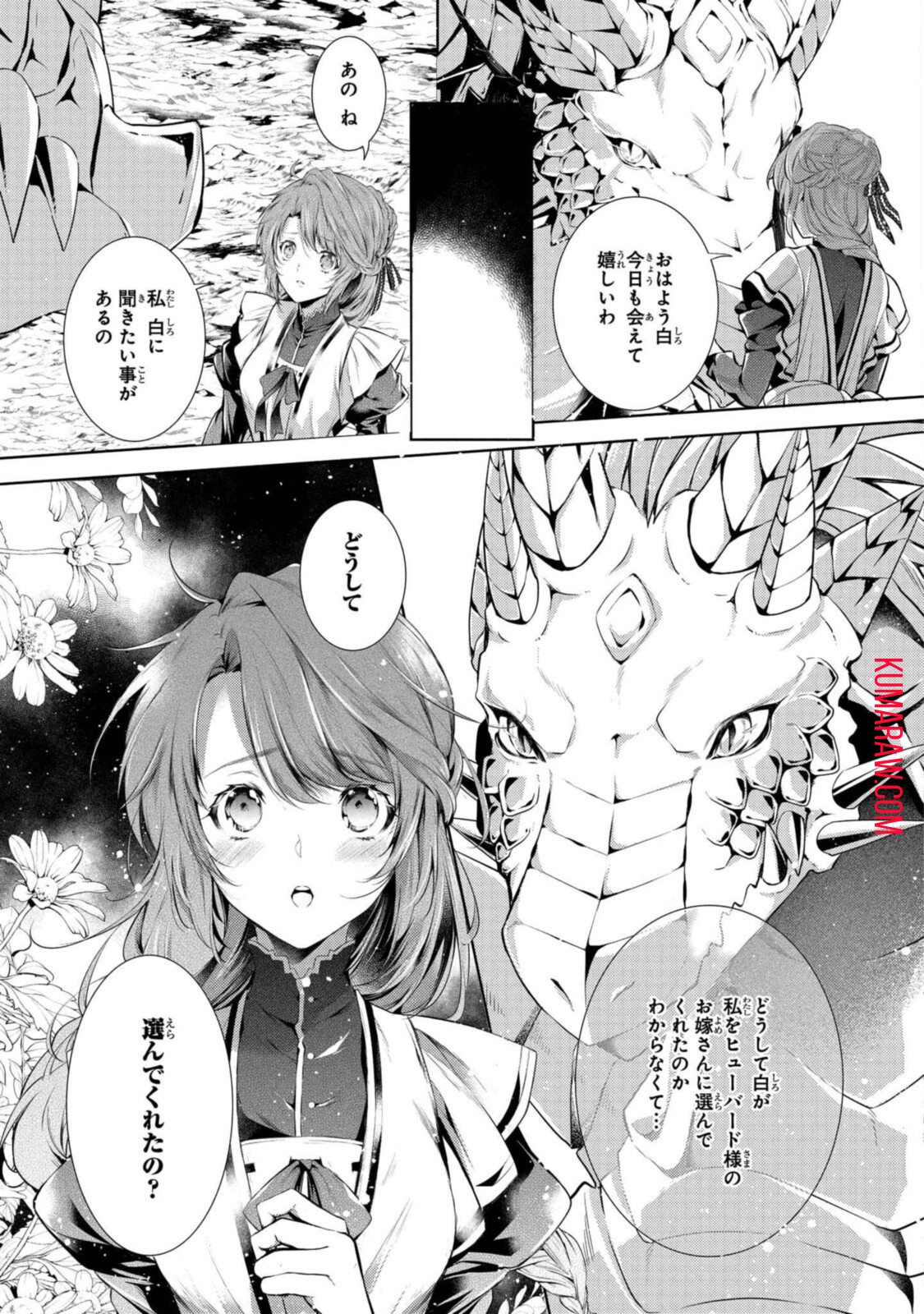 竜騎士のお気に入り 第22.3話 - Page 11