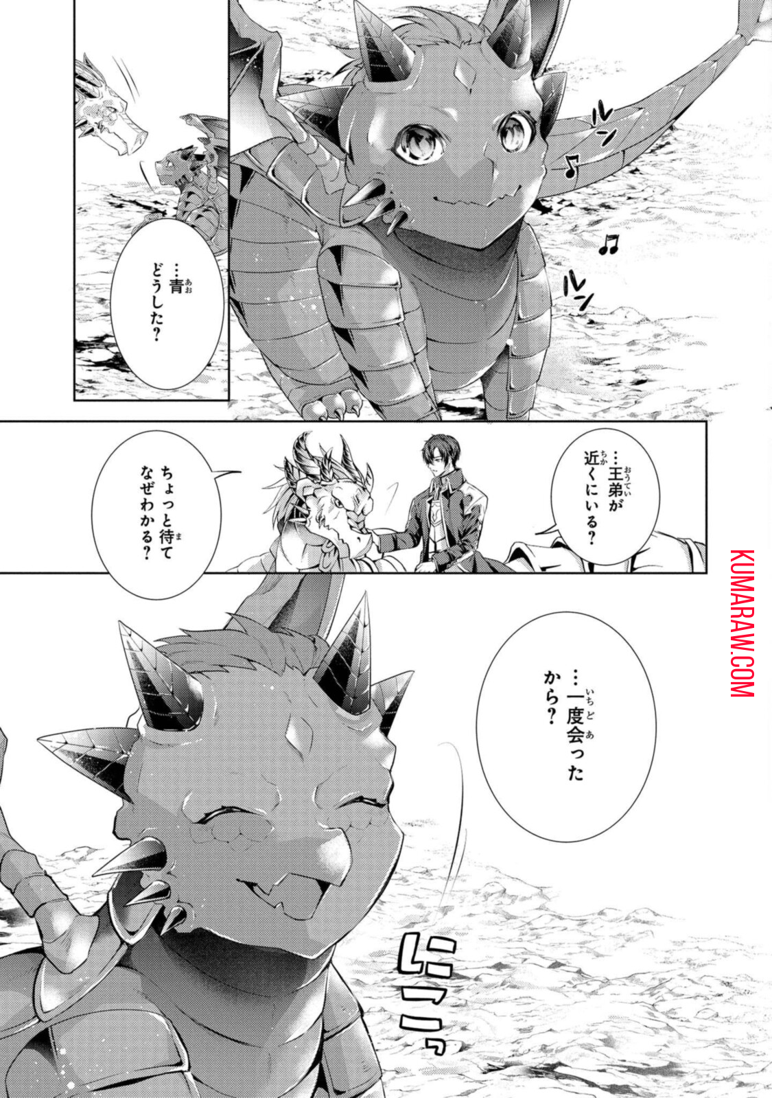 竜騎士のお気に入り 第23.1話 - Page 11