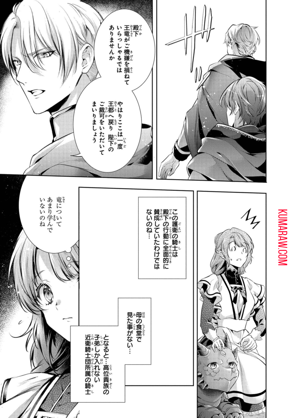 竜騎士のお気に入り 第24.2話 - Page 7