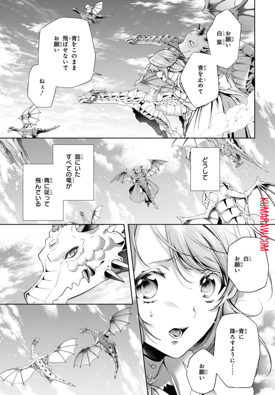 竜騎士のお気に入り 第27.1話 - Page 4