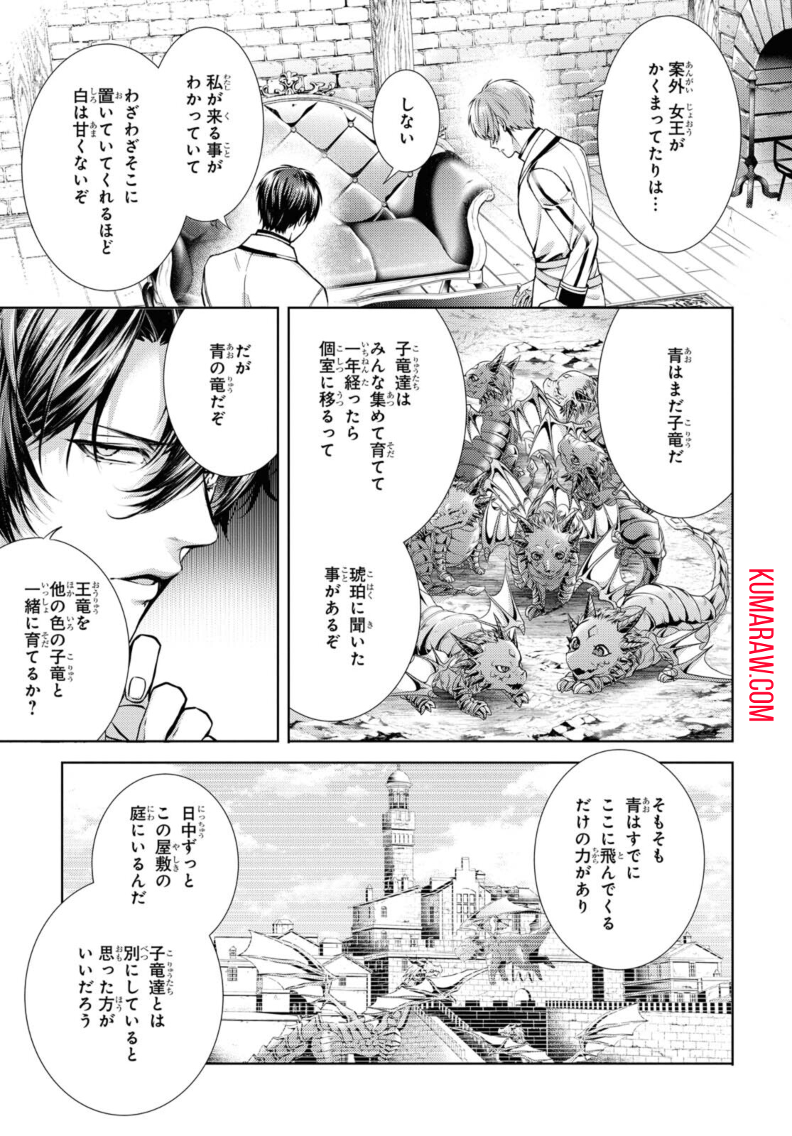 竜騎士のお気に入り 第27.1話 - Page 9