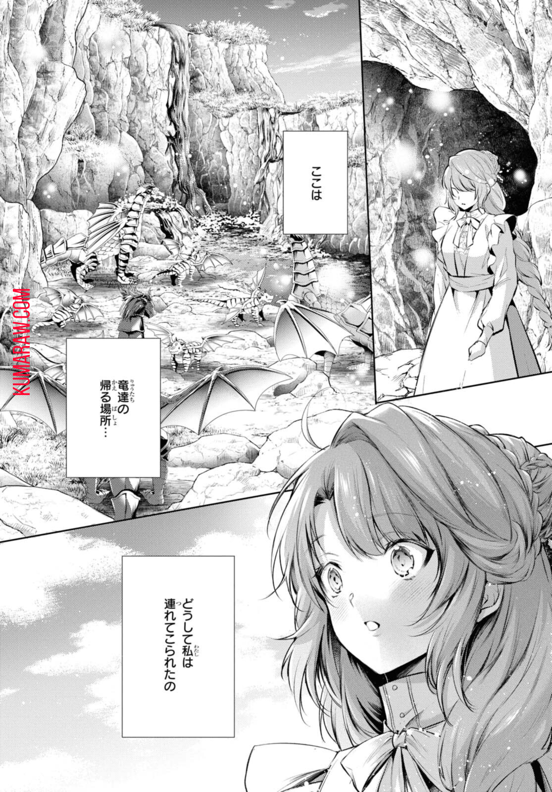 竜騎士のお気に入り 第27.2話 - Page 11