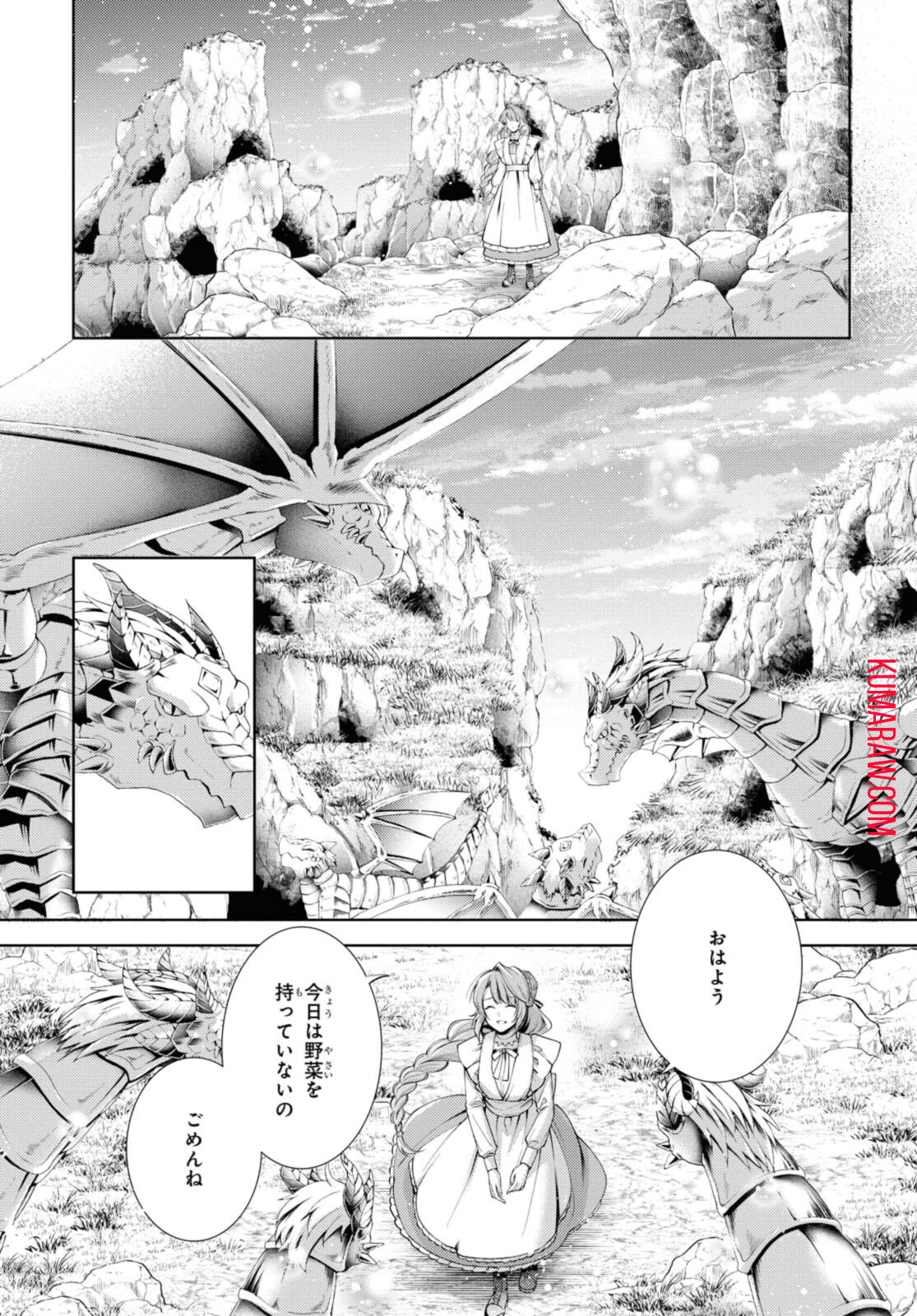 竜騎士のお気に入り 第27.2話 - Page 12