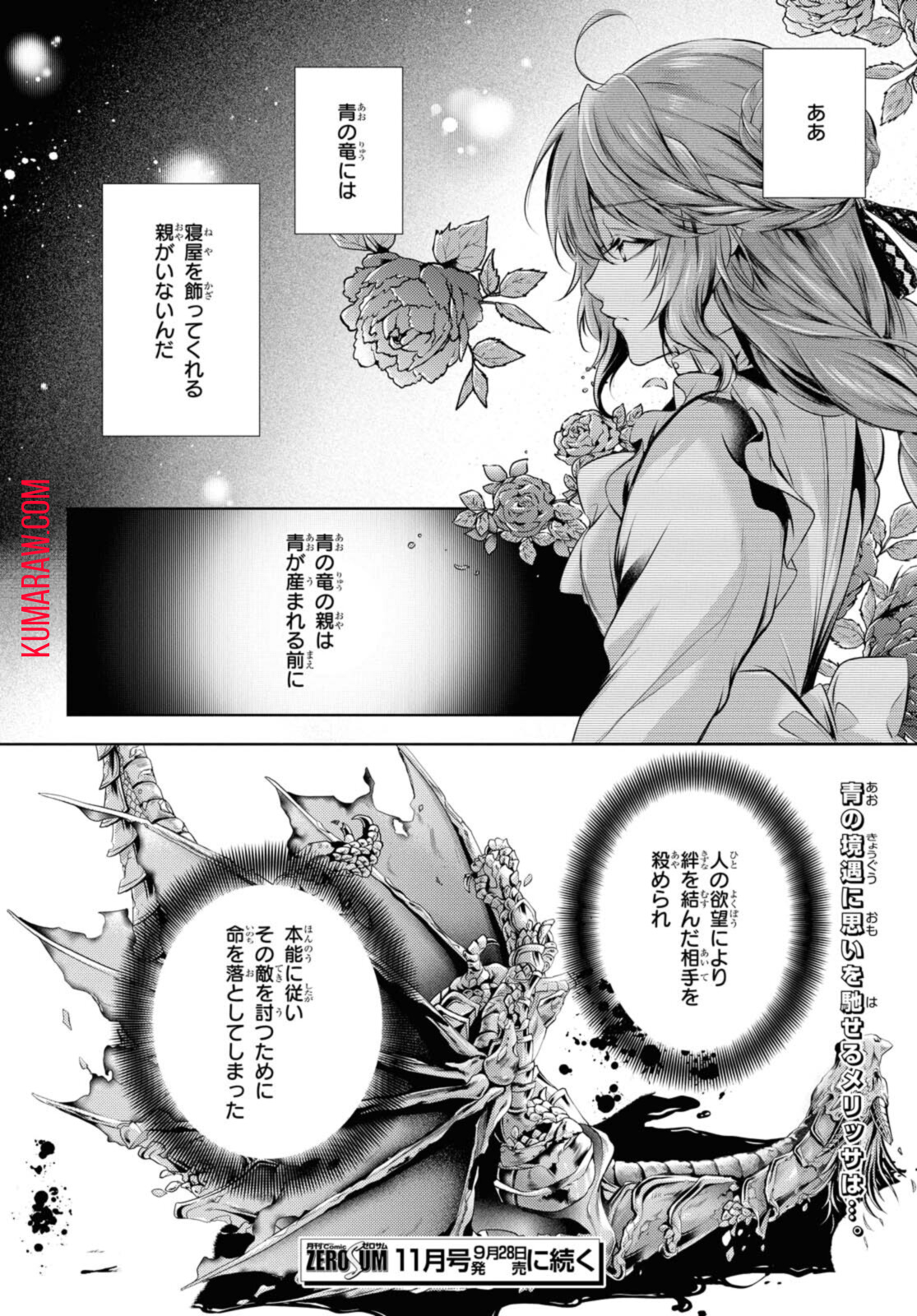 竜騎士のお気に入り 第27.2話 - Page 14